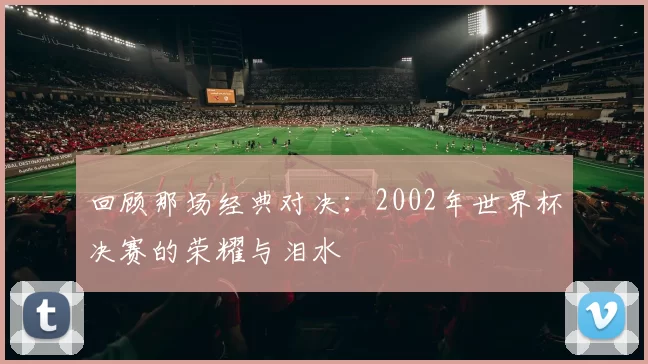 回顾那场经典对决：2002年世界杯决赛的荣耀与泪水