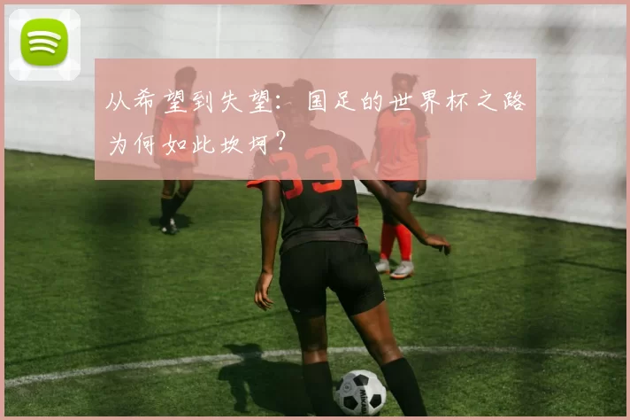 从希望到失望：国足的世界杯之路为何如此坎坷？