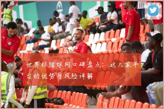 世界杯赌球网口碑盘点：这几家平台的优势与风险详解