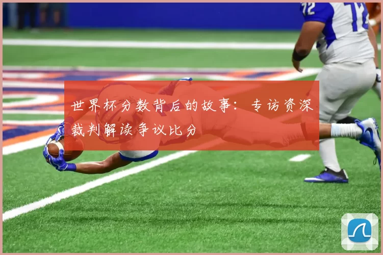世界杯分数背后的故事：专访资深裁判解读争议比分