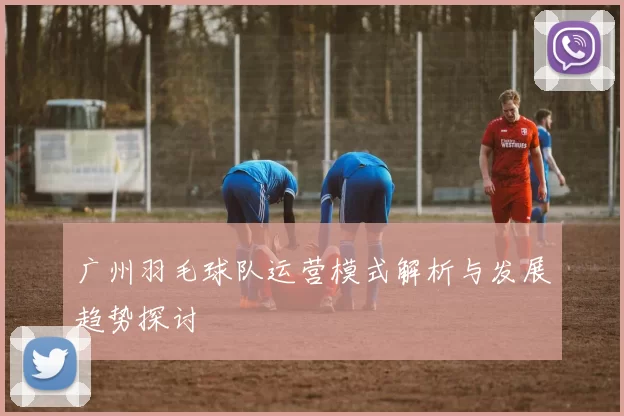 广州羽毛球队运营模式解析与发展趋势探讨