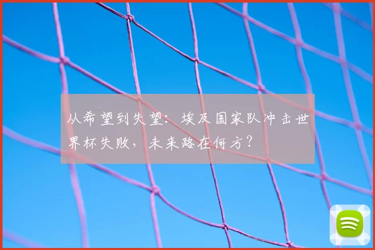 从希望到失望：埃及国家队冲击世界杯失败，未来路在何方？