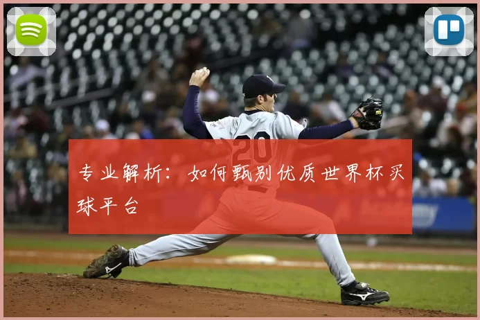 专业解析：如何甄别优质世界杯买球平台