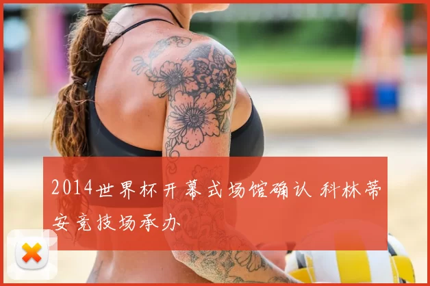 2014世界杯开幕式场馆确认 科林蒂安竞技场承办