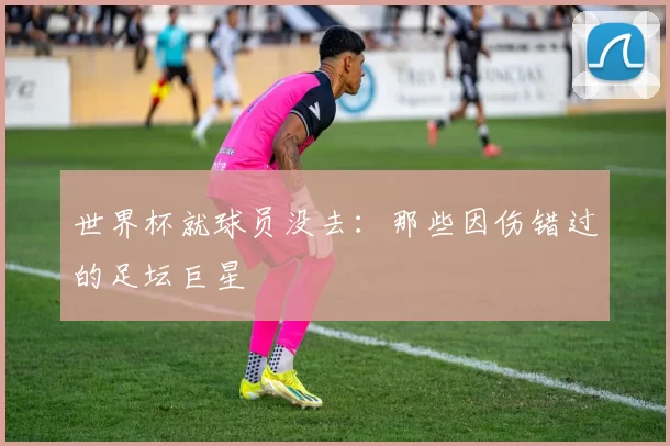 世界杯就球员没去:那些因伤错过的足坛巨星