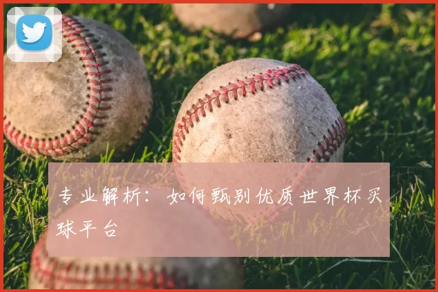 专业解析:如何甄别优质世界杯买球平台